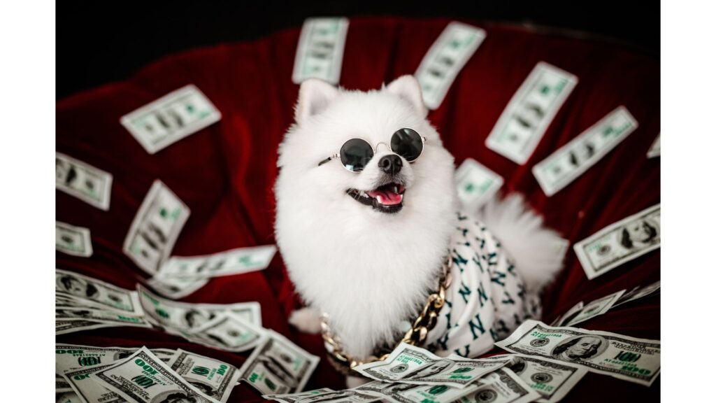 trzy filary inwestowania tylko jeden etf piesek z kasą