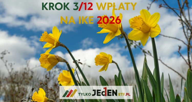 krok 3/12 wpłaty na ike 2026 marzec